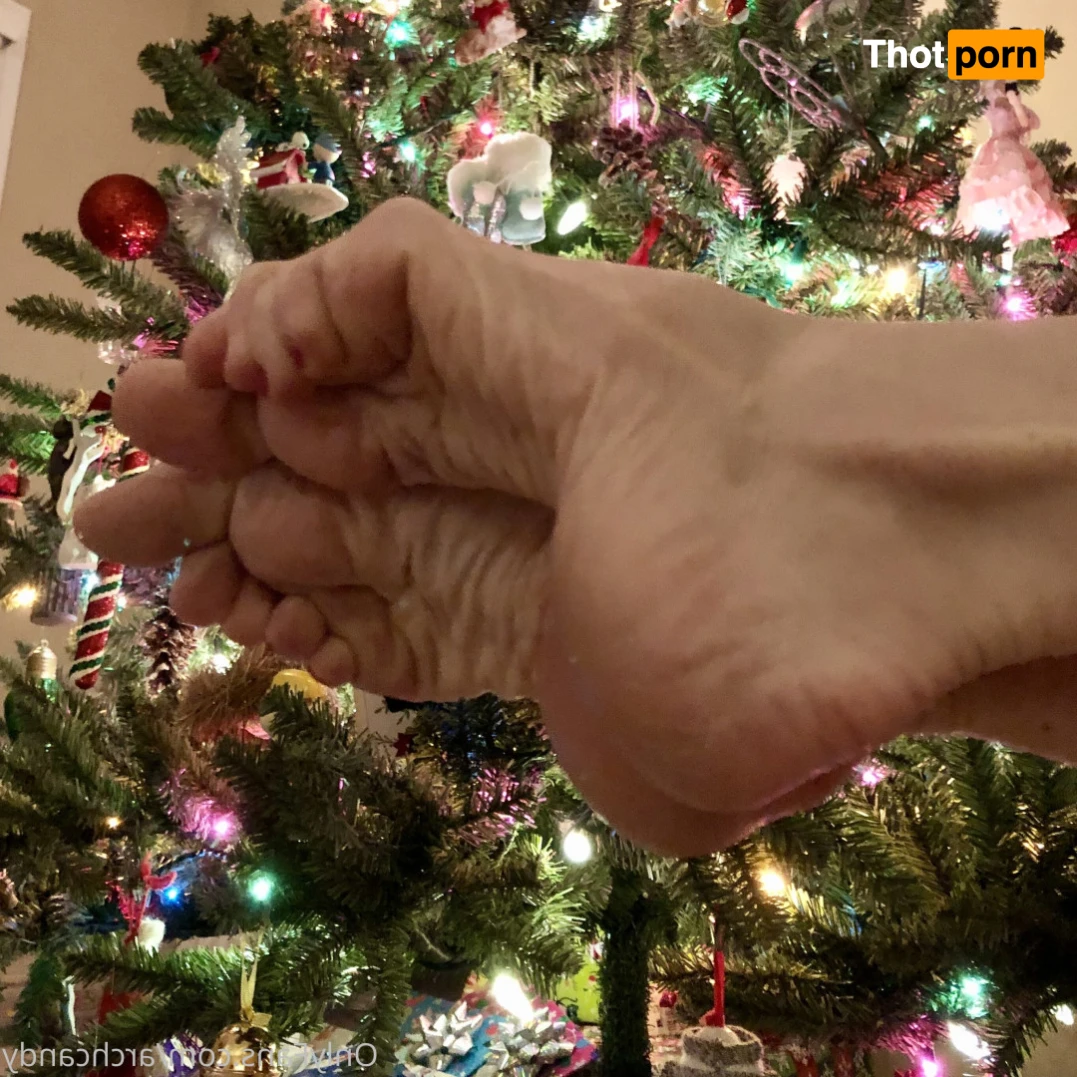 Candy Arches 13997973