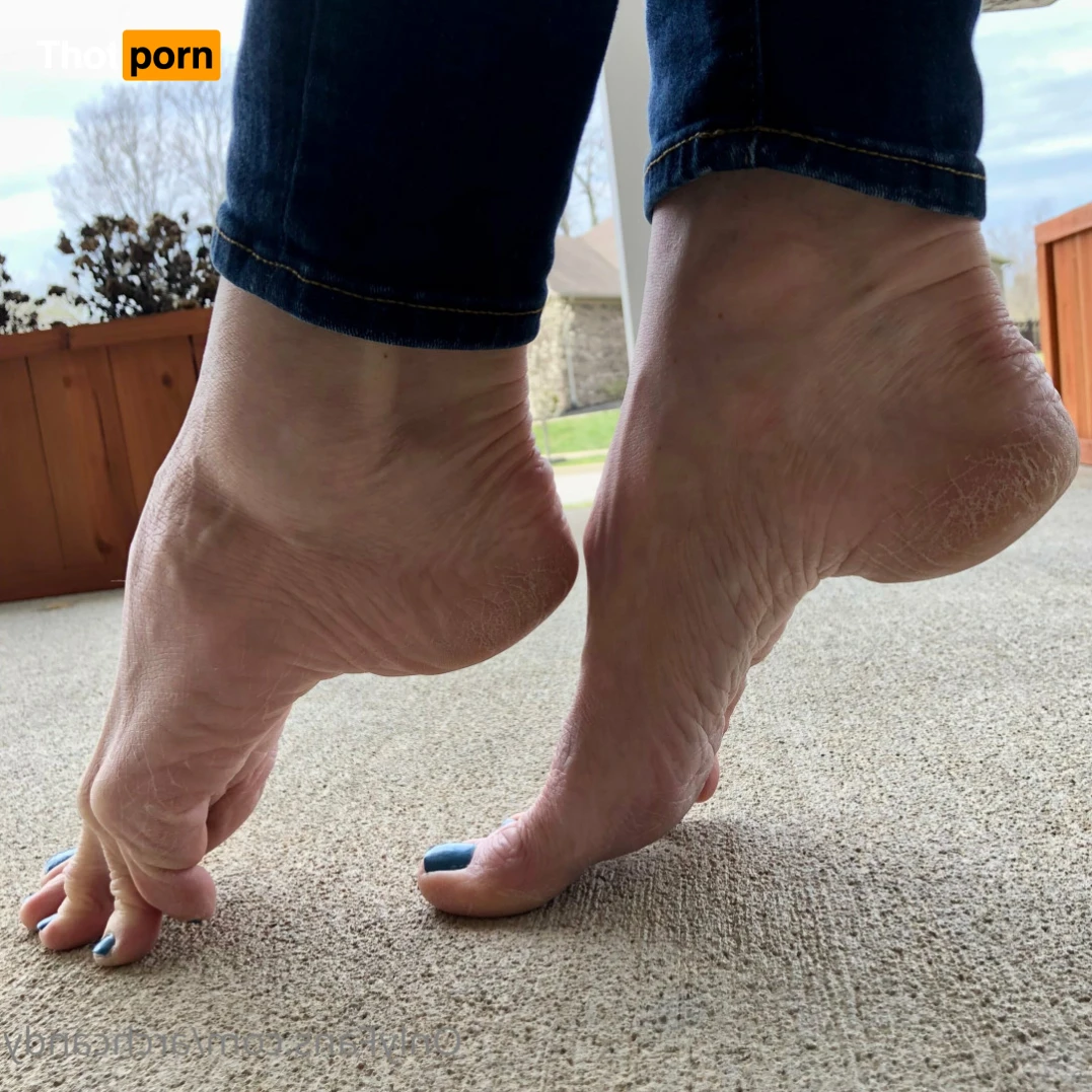 Candy Arches 14001810