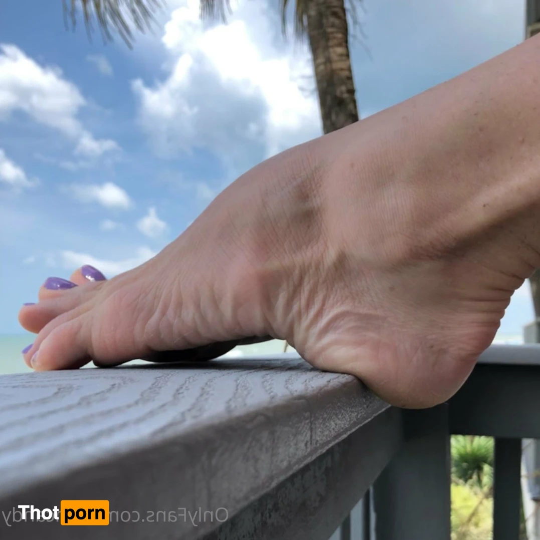 Candy Arches 14002757