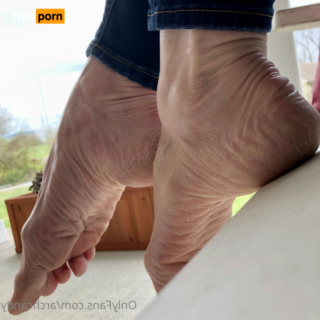 Candy Arches 14004352