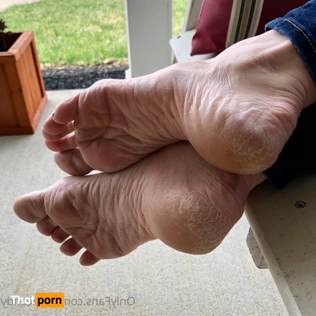 Candy Arches 14008890