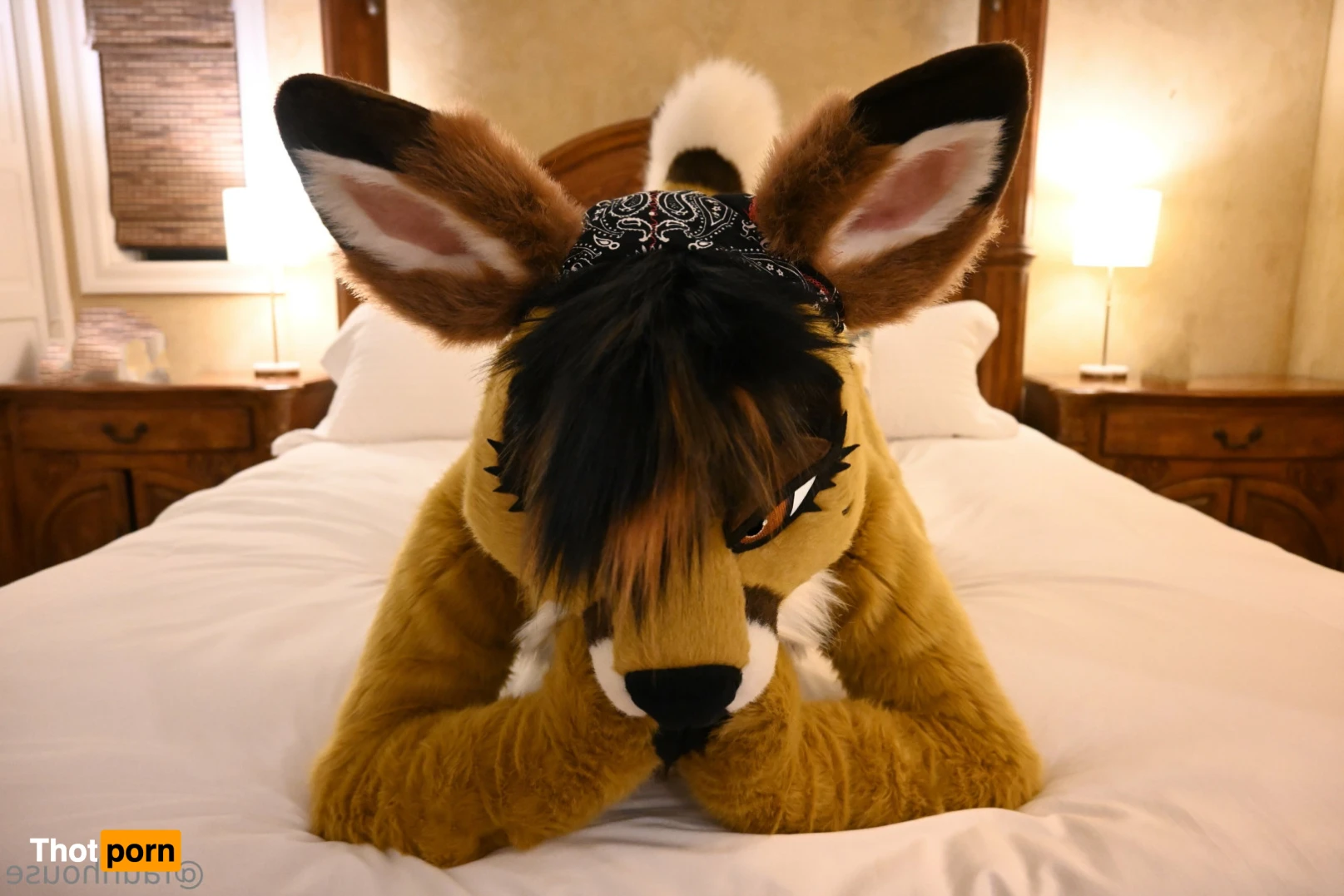 Lotus LaFawn 11117448