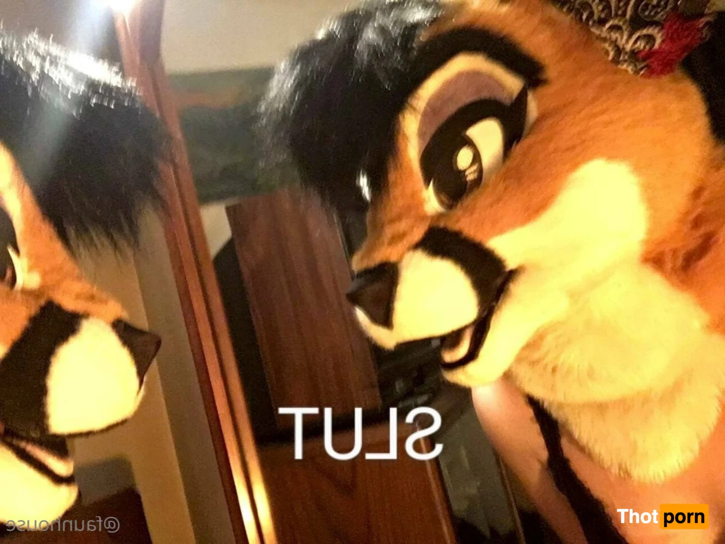 Lotus LaFawn 11192489