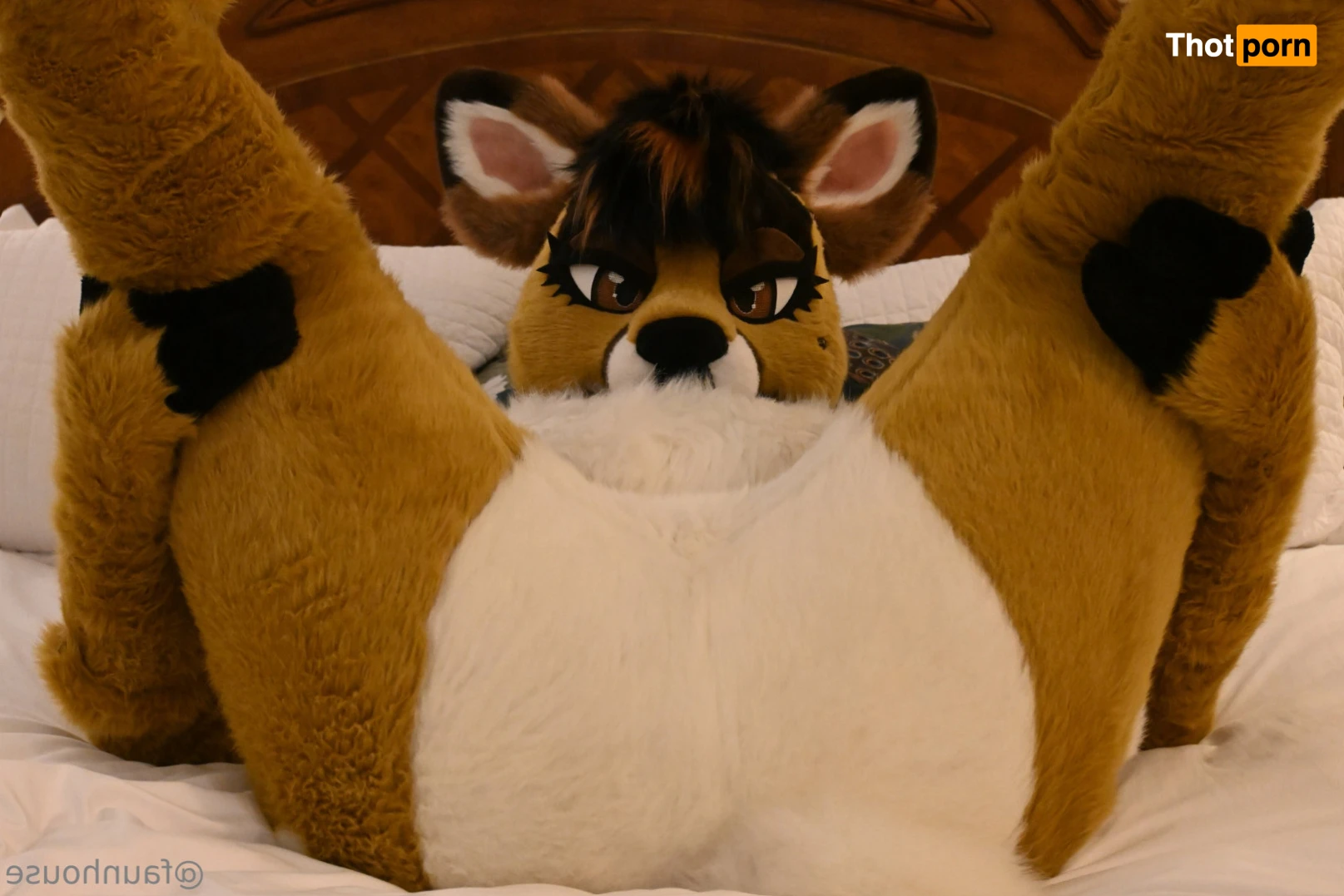 Lotus LaFawn 15261124