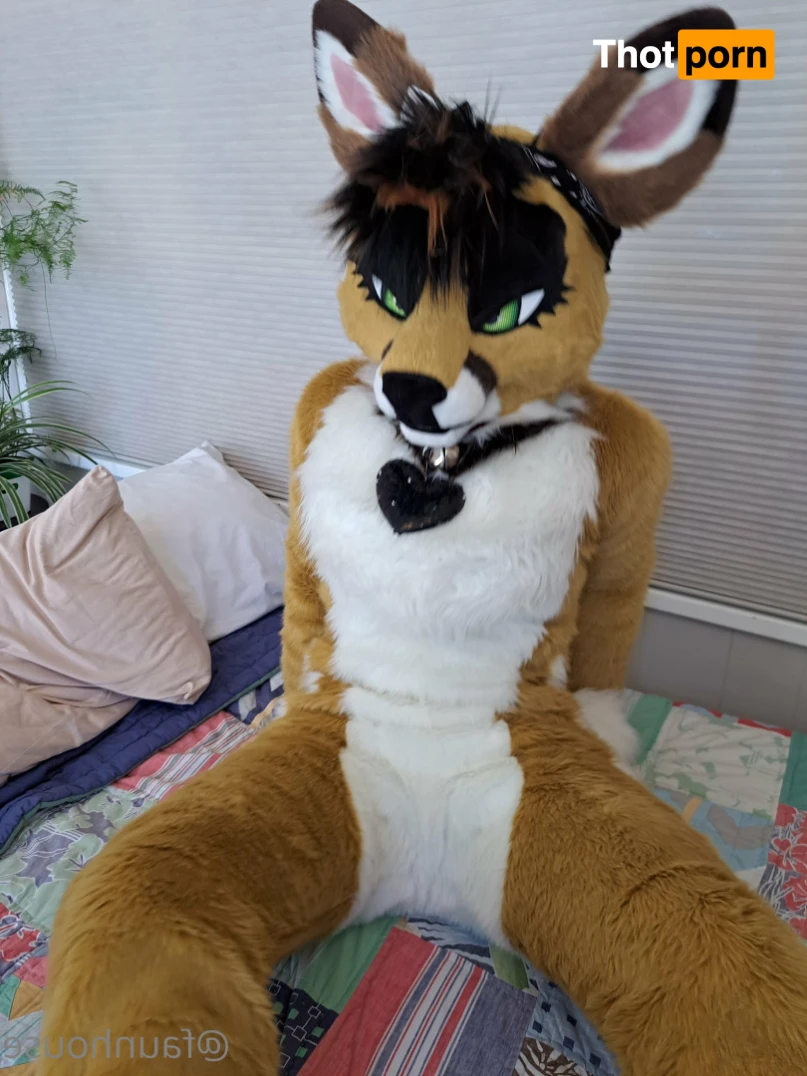 Lotus LaFawn 15261163