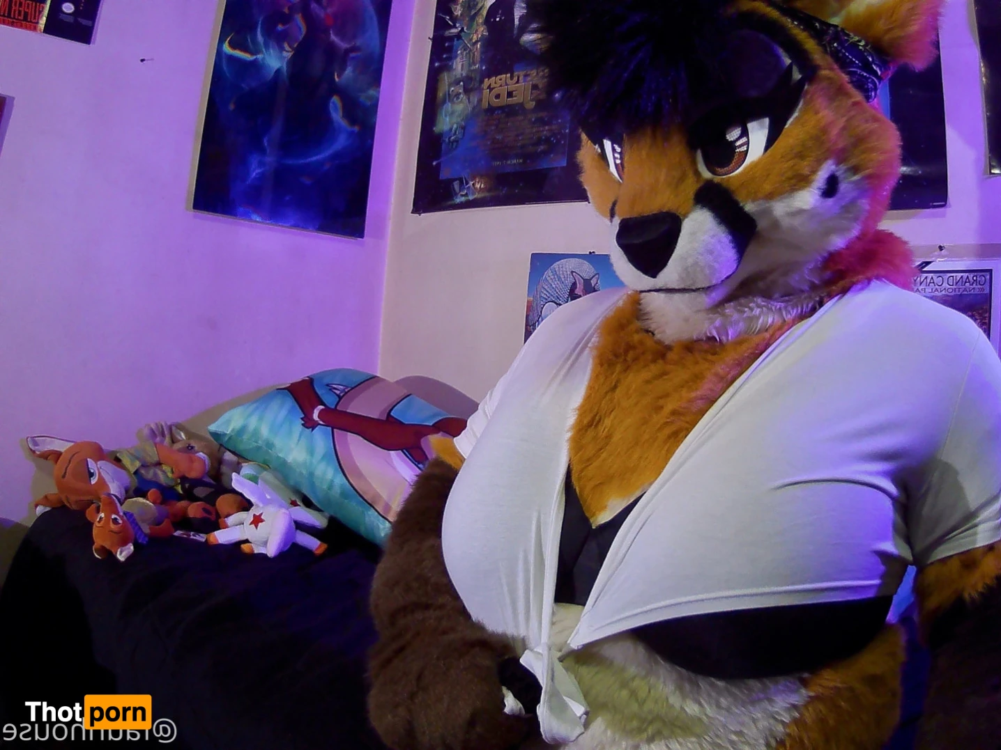 Lotus LaFawn 15261182