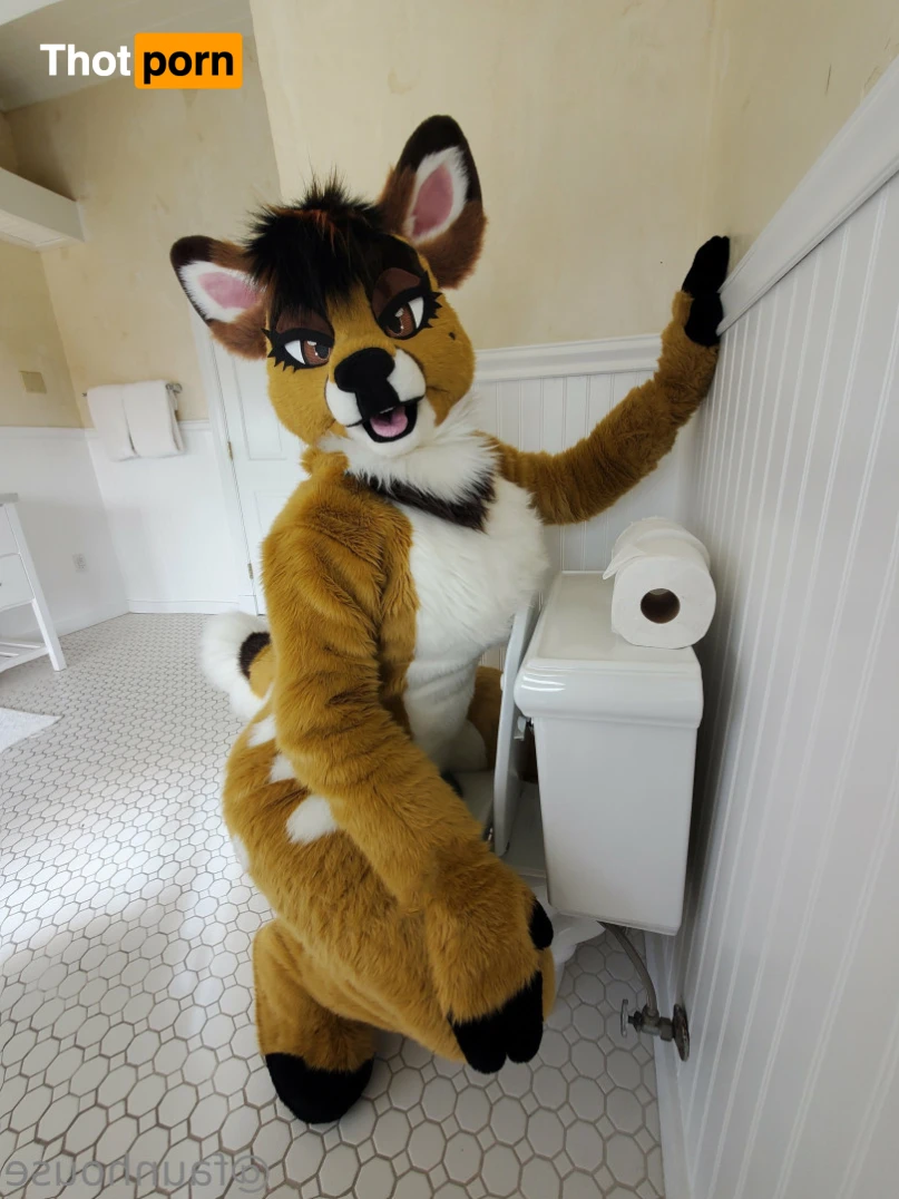 Lotus LaFawn 15261263