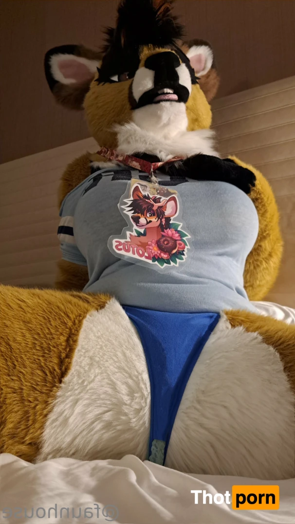 Lotus LaFawn 15261322