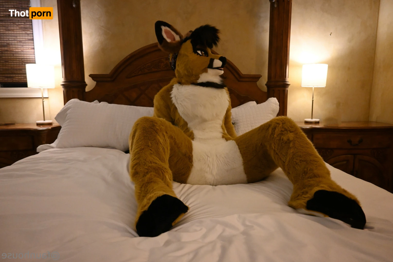 Lotus LaFawn 15261338