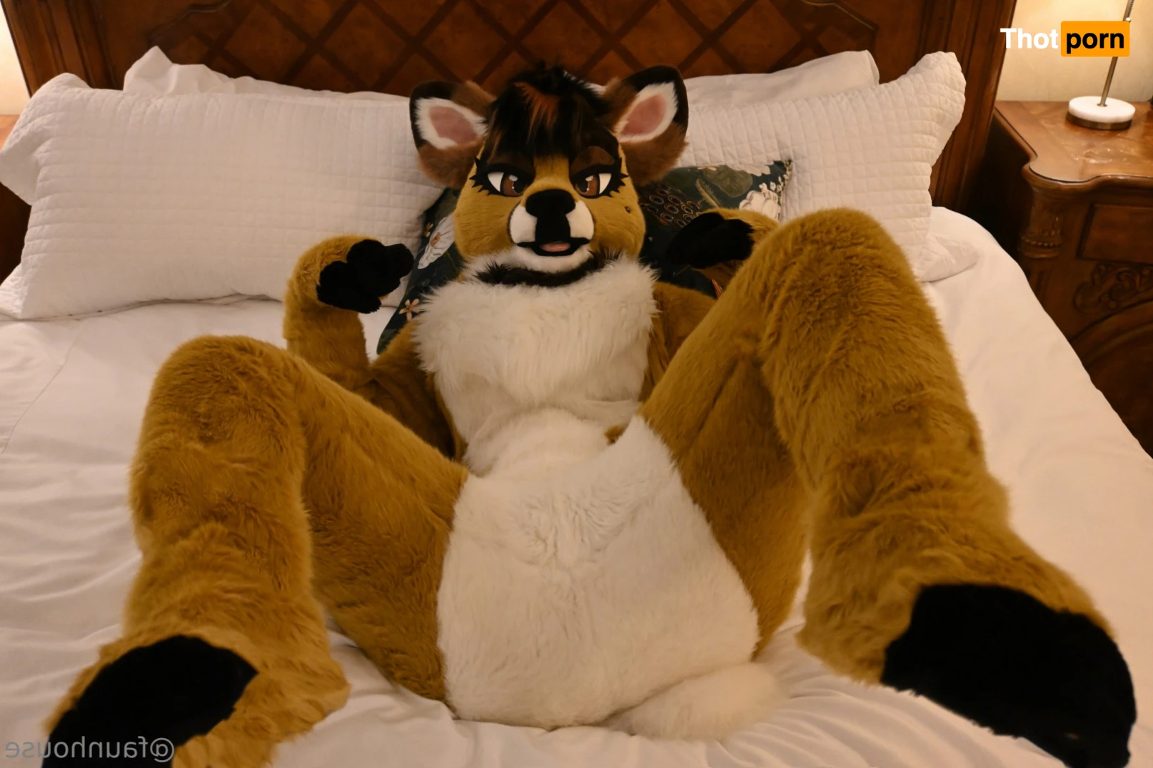 Lotus LaFawn 15261386