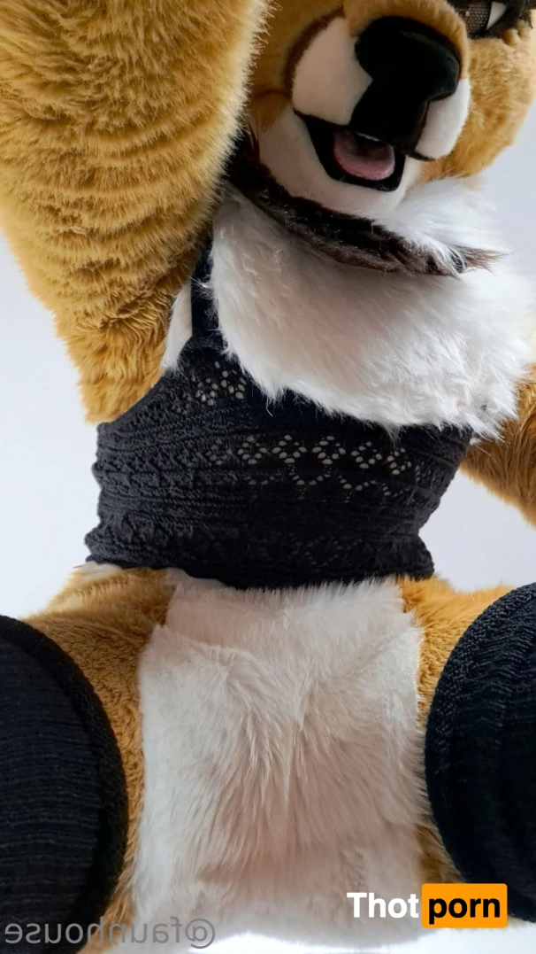 Lotus LaFawn 15261391