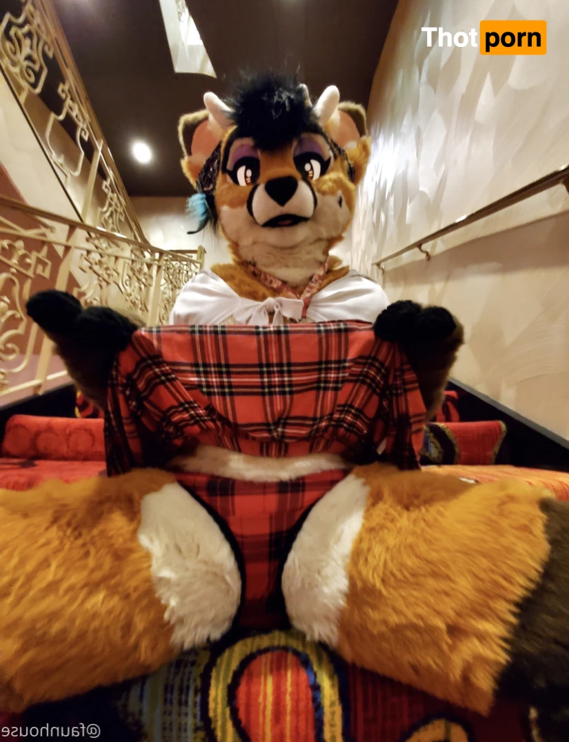 Lotus LaFawn 15261411