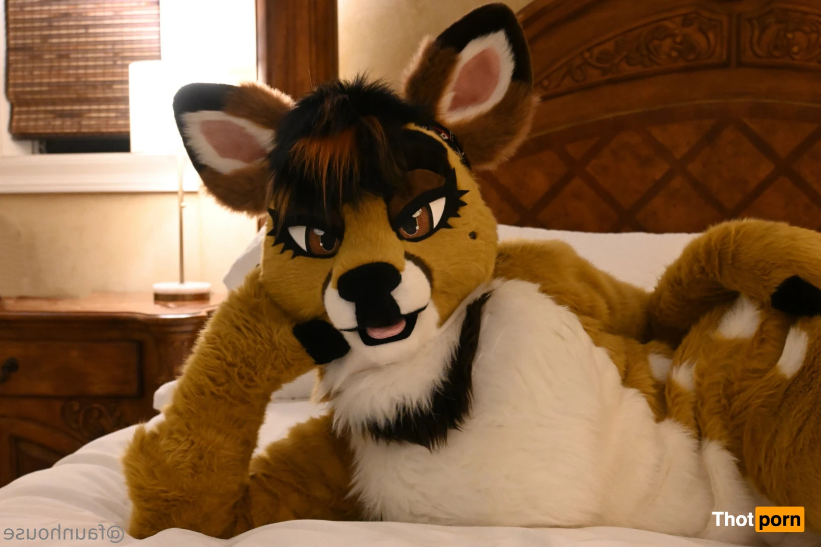 Lotus LaFawn 15261525