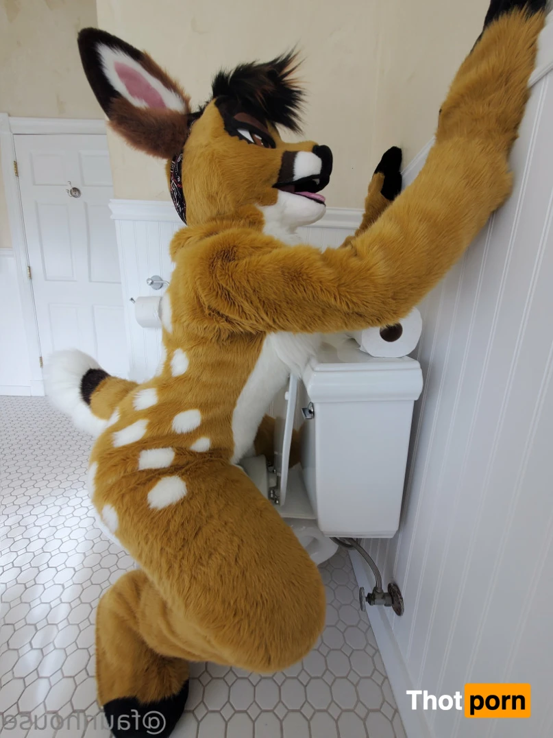 Lotus LaFawn 15261558