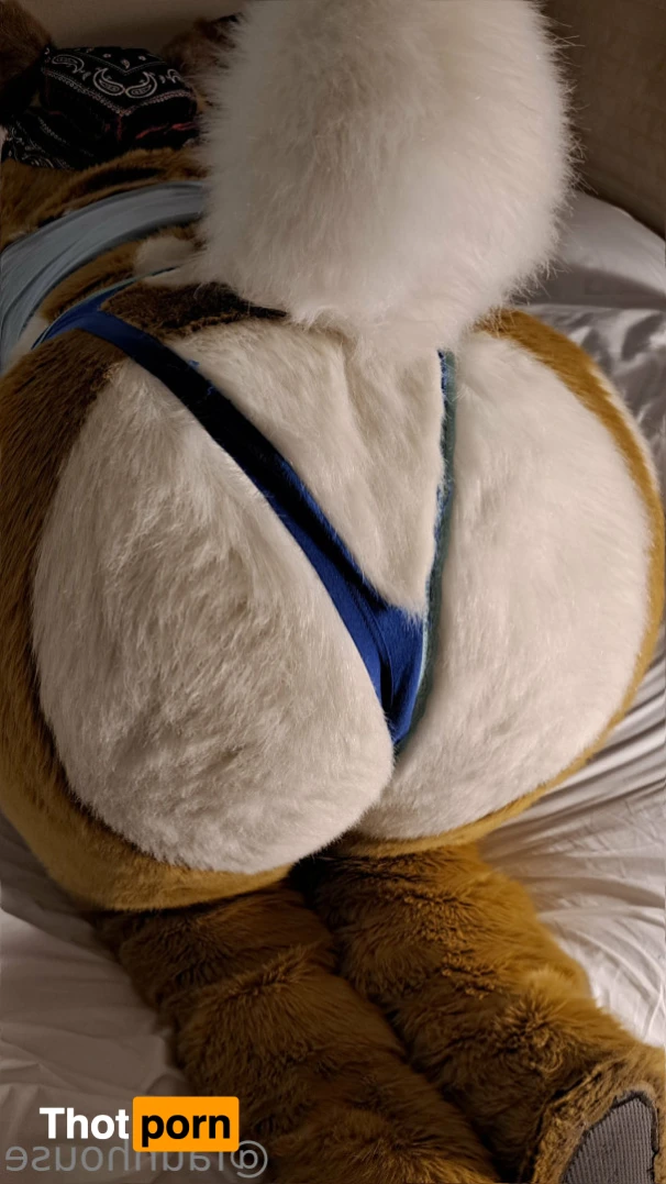 Lotus LaFawn 15261670