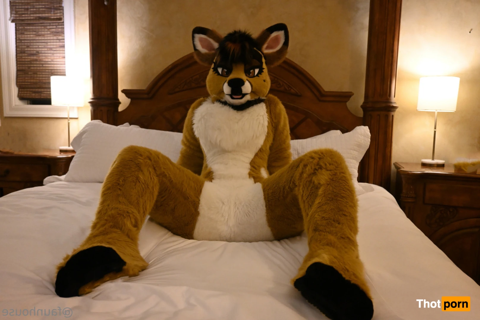 Lotus LaFawn 15261835