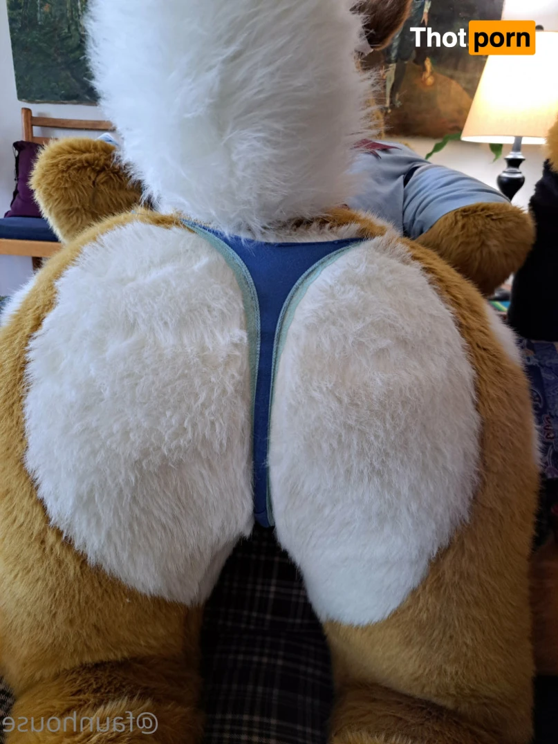 Lotus LaFawn 15261944