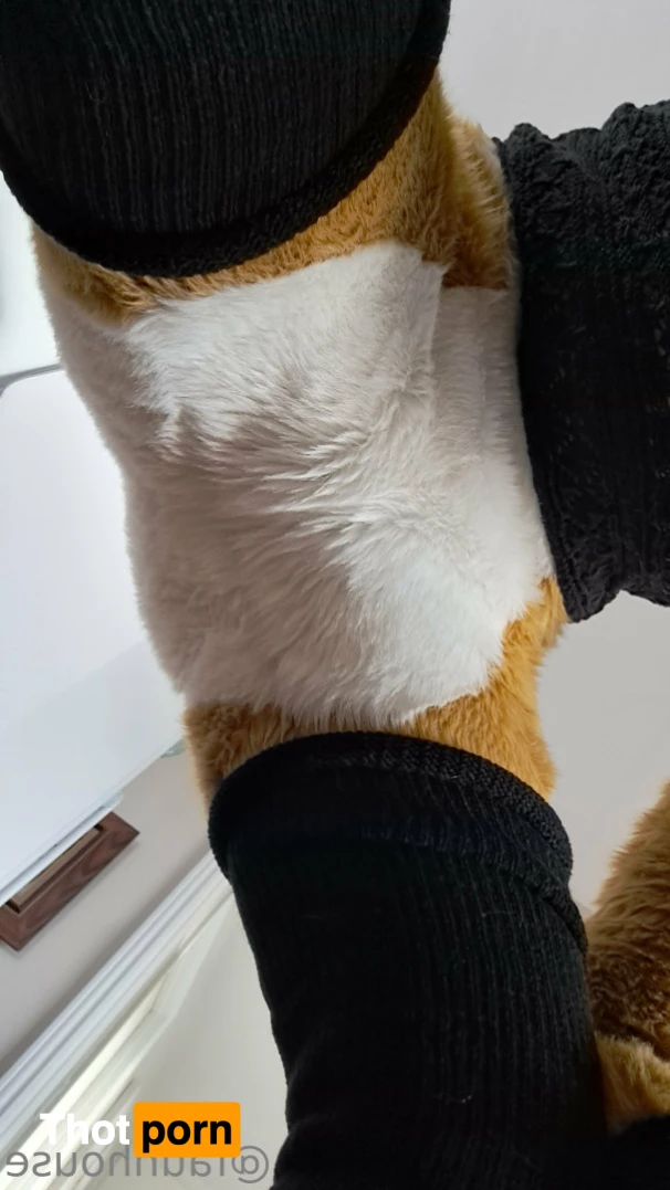 Lotus LaFawn 15262078