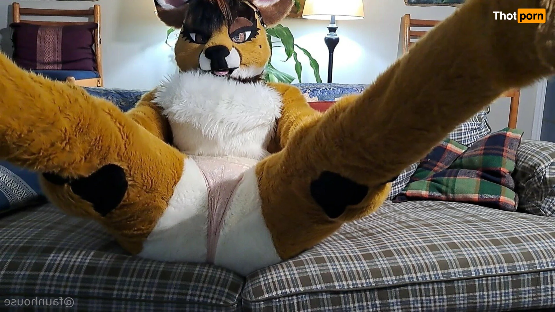 Lotus LaFawn 15262103