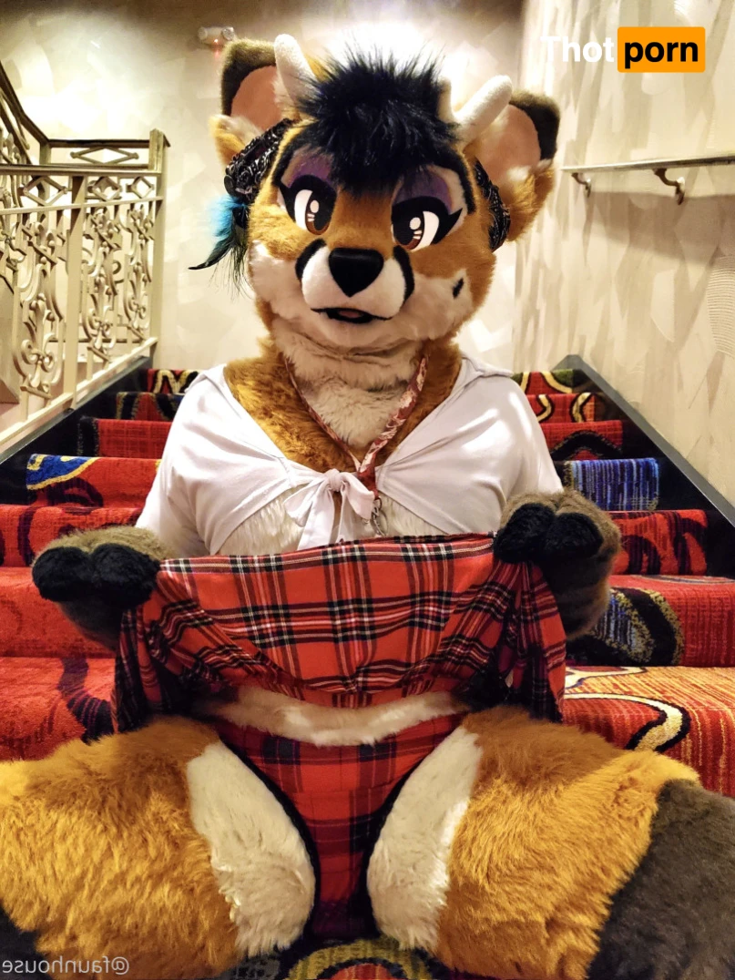 Lotus LaFawn 15262190