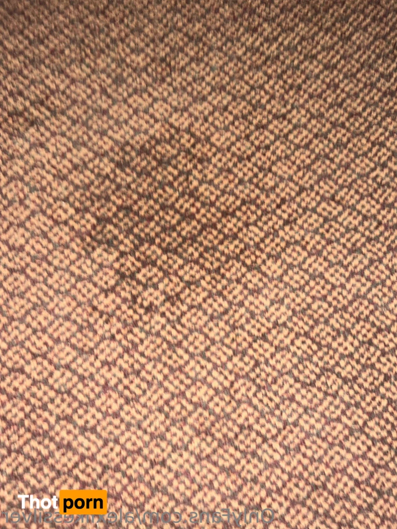 alexlikessilver 14748294