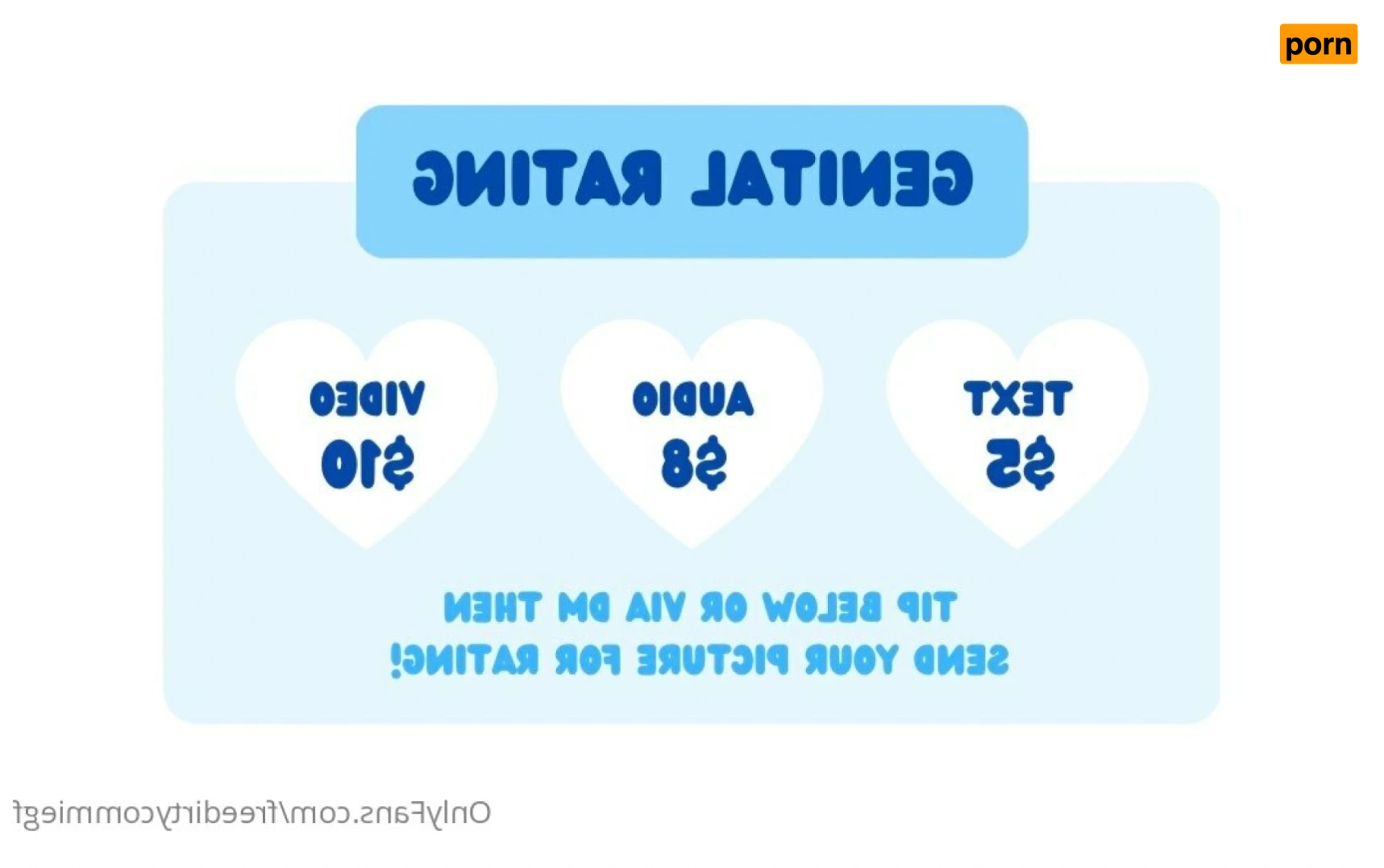 ✧･ﾟ: *✧ Jade ✧*:･ﾟ✧ 13029599