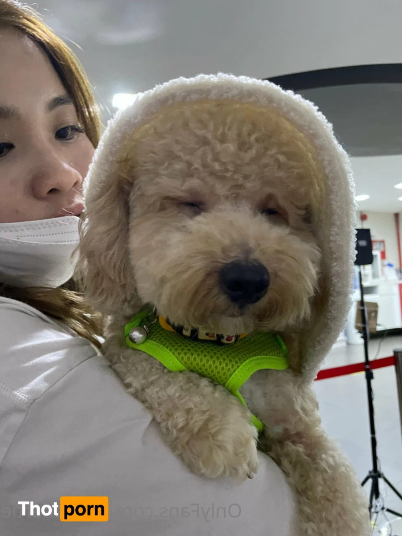 GRACIE HARTIE | #1 ASIAN ON OF 16435250