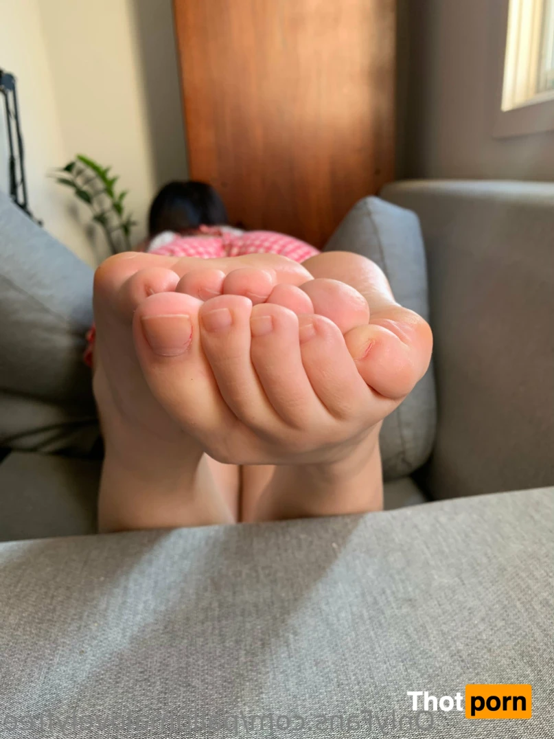 Palloma Lovely FREE 11265176