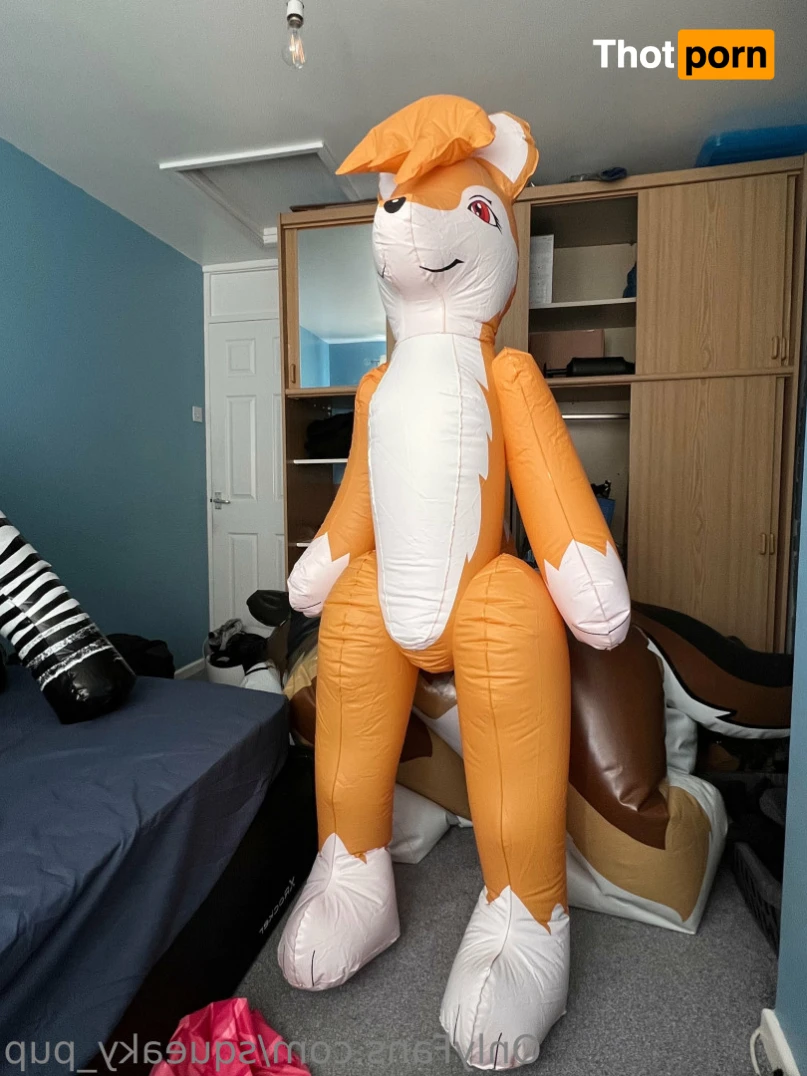 Squeaky_pup 13848537