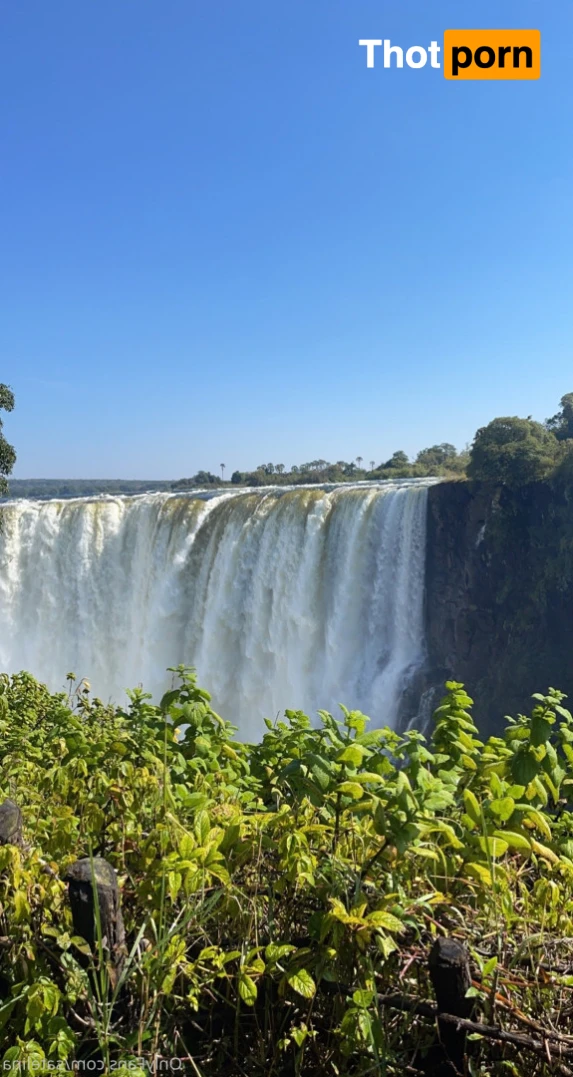 ✨ Satelina SG 11332198