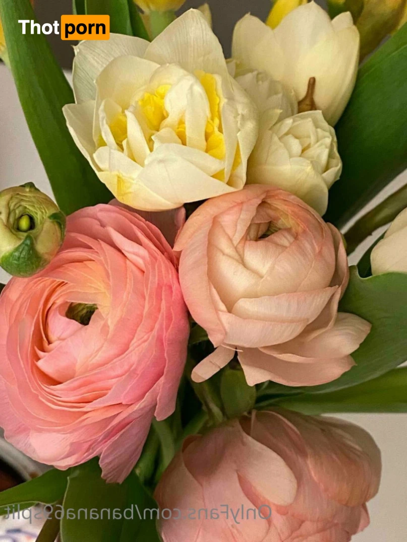 Hanna Banana 🍌 11334613