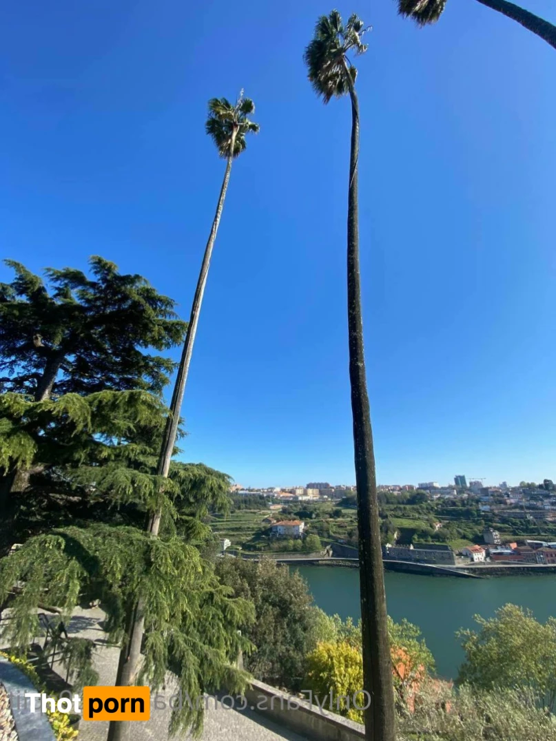 Hanna Banana 🍌 11335006