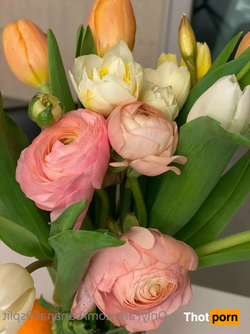 Hanna Banana 🍌 11335185