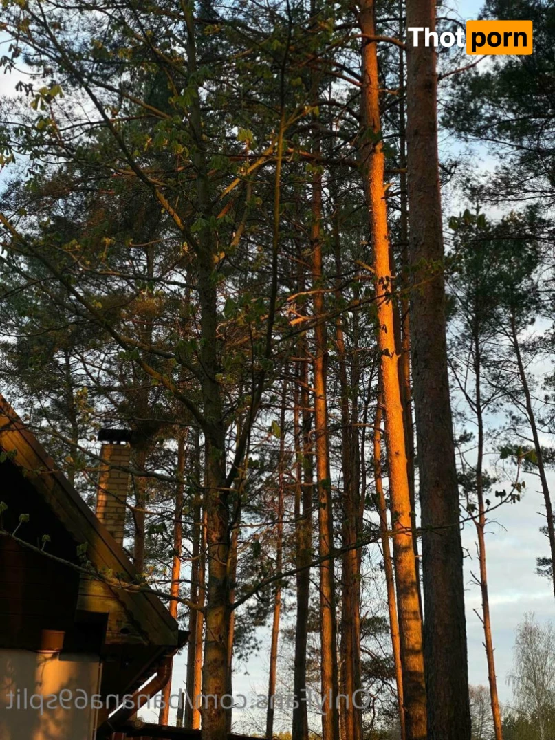 Hanna Banana 🍌 11335716