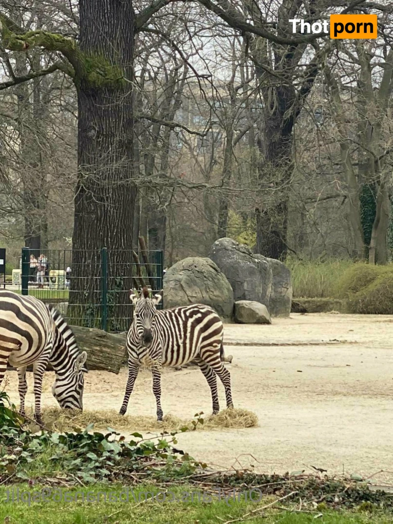 Hanna Banana 🍌 11336273