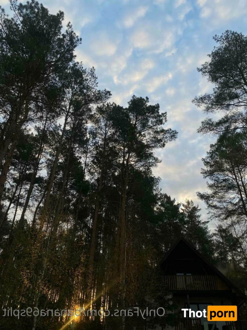 Hanna Banana 🍌 11336507