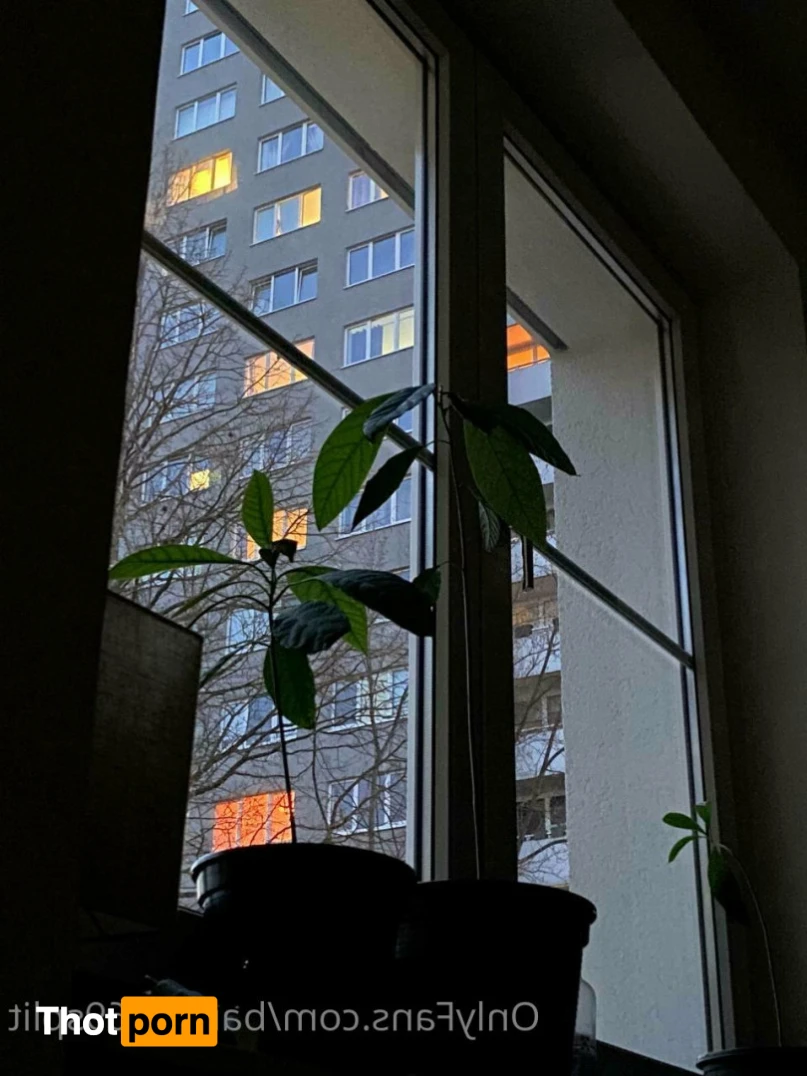 Hanna Banana 🍌 11336584