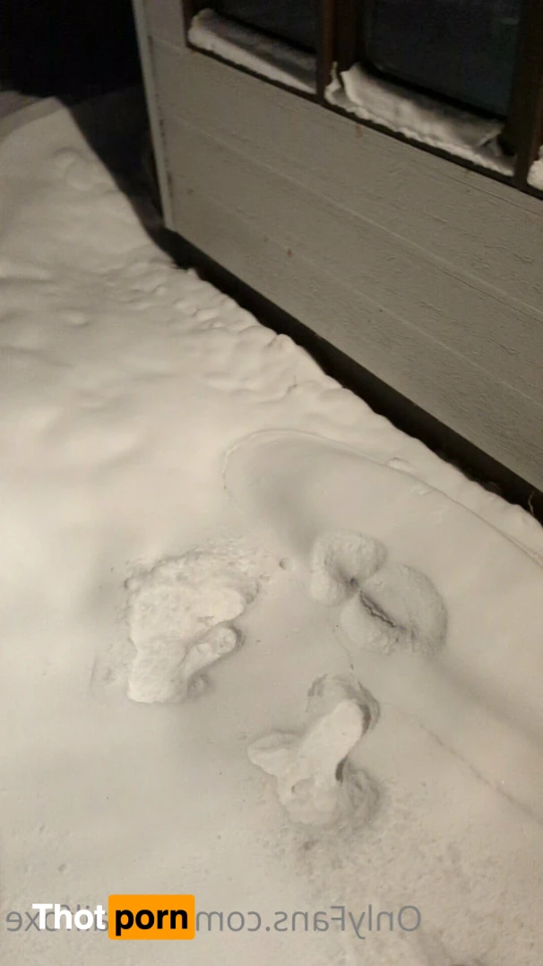 Abigail Foxe 15313455