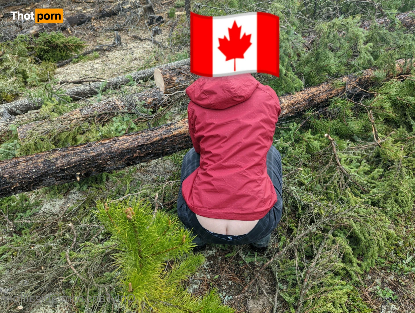 Abigail Foxe 15314556