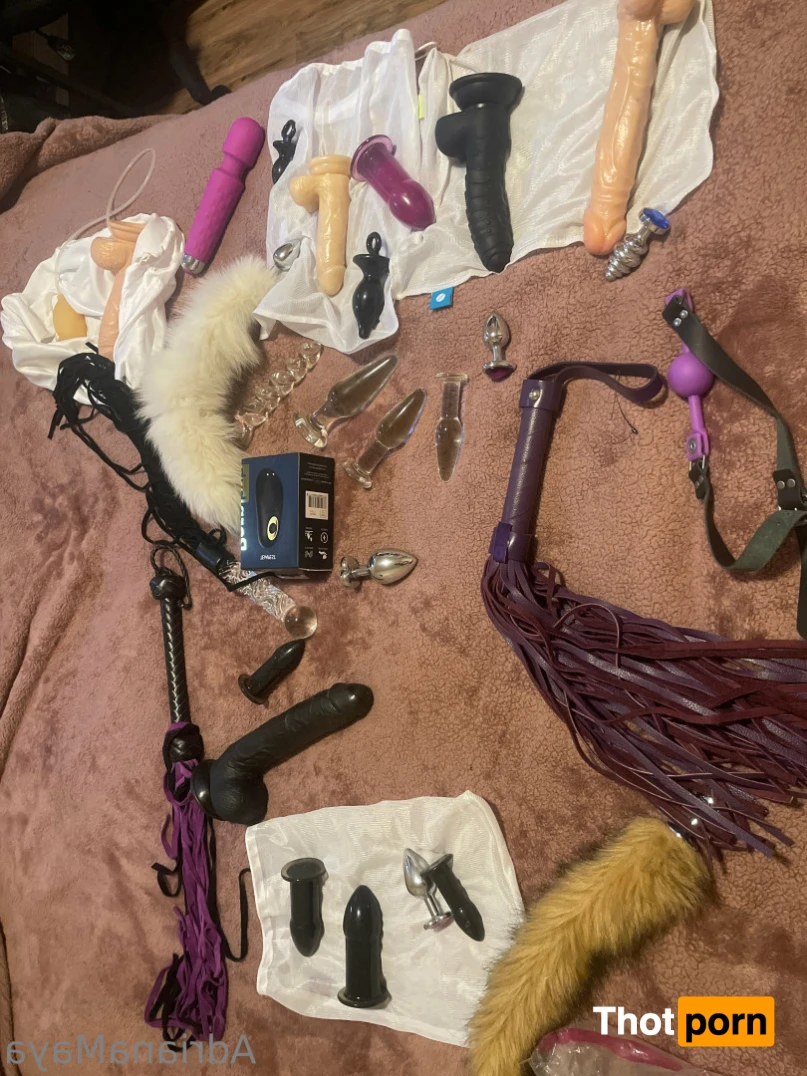 Adriana Maya 15163006