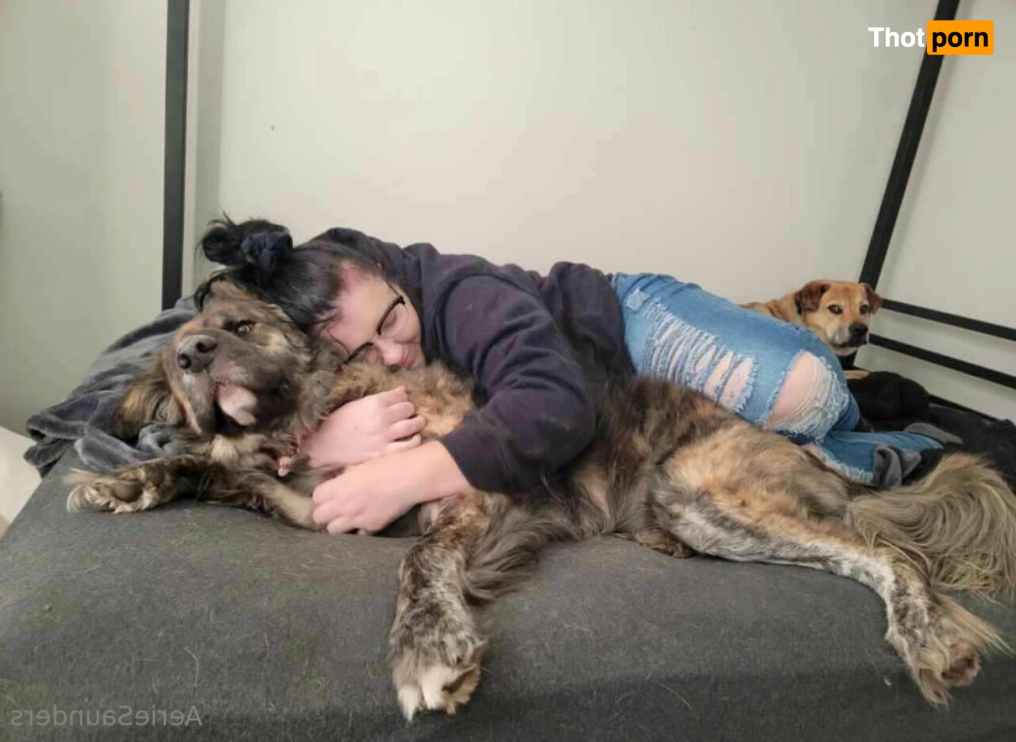 aeriesaunders 15161867