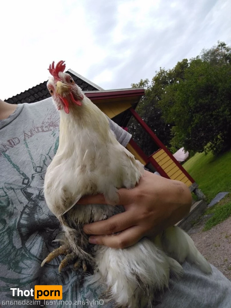 Miss Banana 13111958