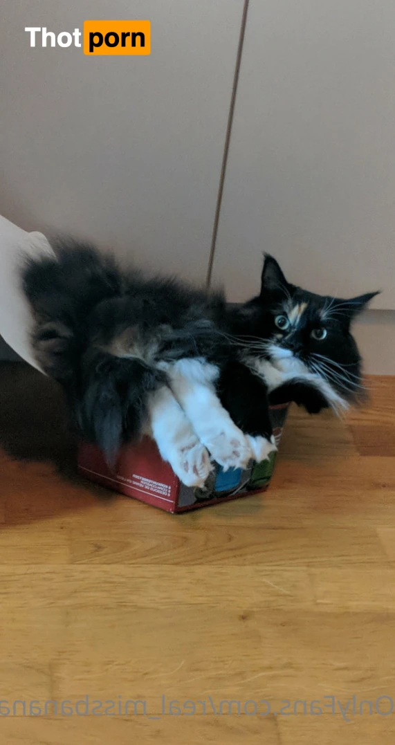 Miss Banana 13112339