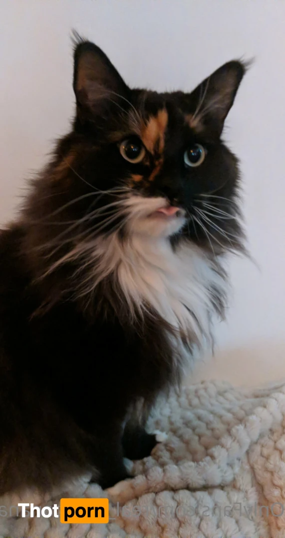 Miss Banana 13112445