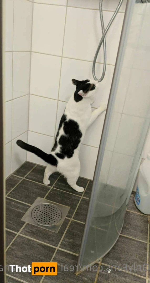 Miss Banana 13112492