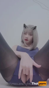 14647688