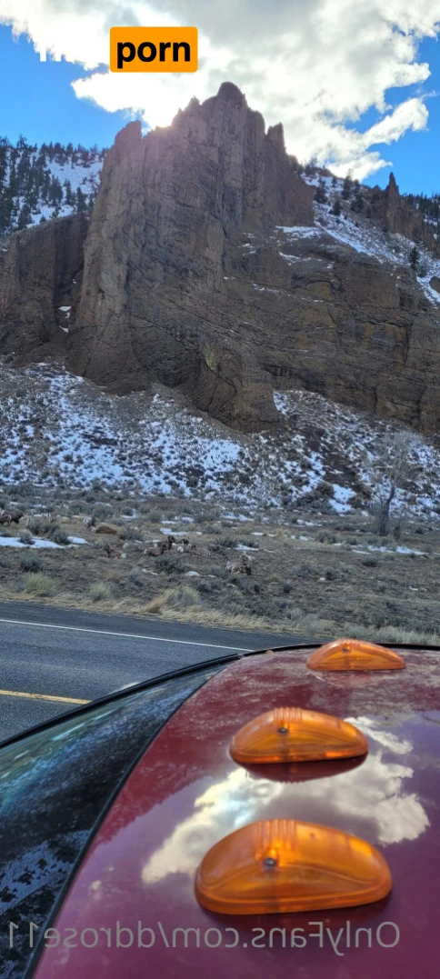 Miss DDRosee🌹🐺🪶🌙🇺🇲 15502134