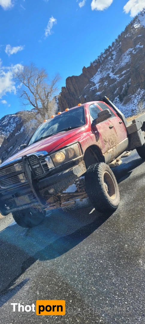 Miss DDRosee🌹🐺🪶🌙🇺🇲 15502670