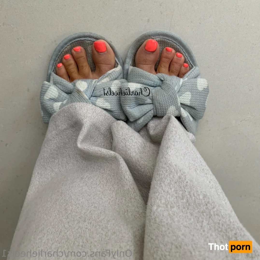 charlieheels1 11698470