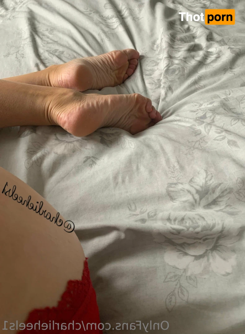 charlieheels1 11702275